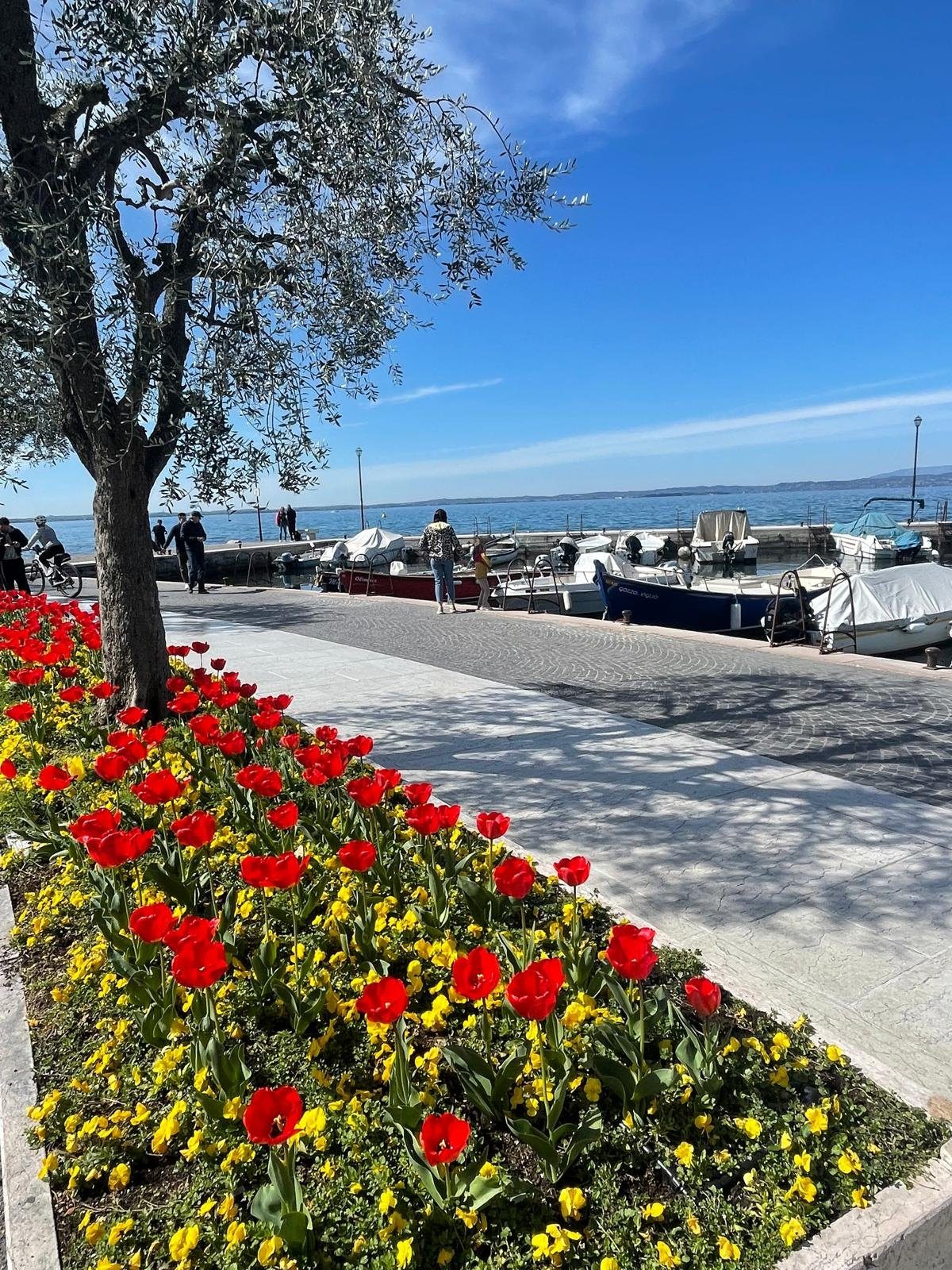 Hafenpromenade in Lazise mit Tulpen